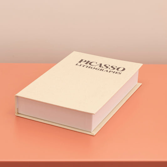 Picasso Kumaş Kitap Kutusu